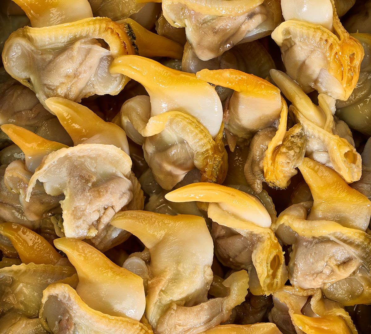 Gros plan sur des morceaux de fruits de mer frais de la gamme El Tato, parfaits pour des recettes gastronomiques.
