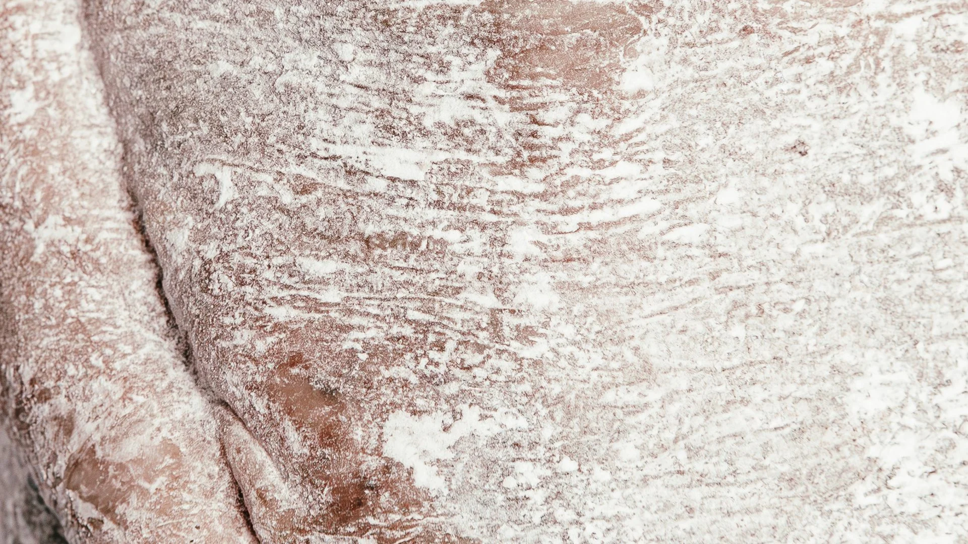 Gros plan sur une charcuterie catalane artisanale avec une couche blanche de fermentation naturelle.