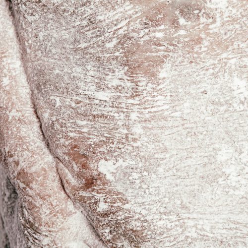 Gros plan sur une charcuterie catalane artisanale avec une couche blanche de fermentation naturelle.
