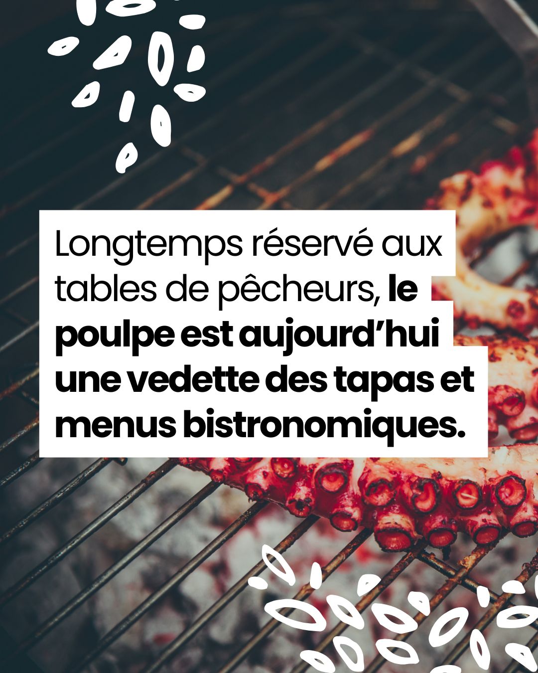 Tentacules de poulpe grillés à la plancha avec assaisonnement