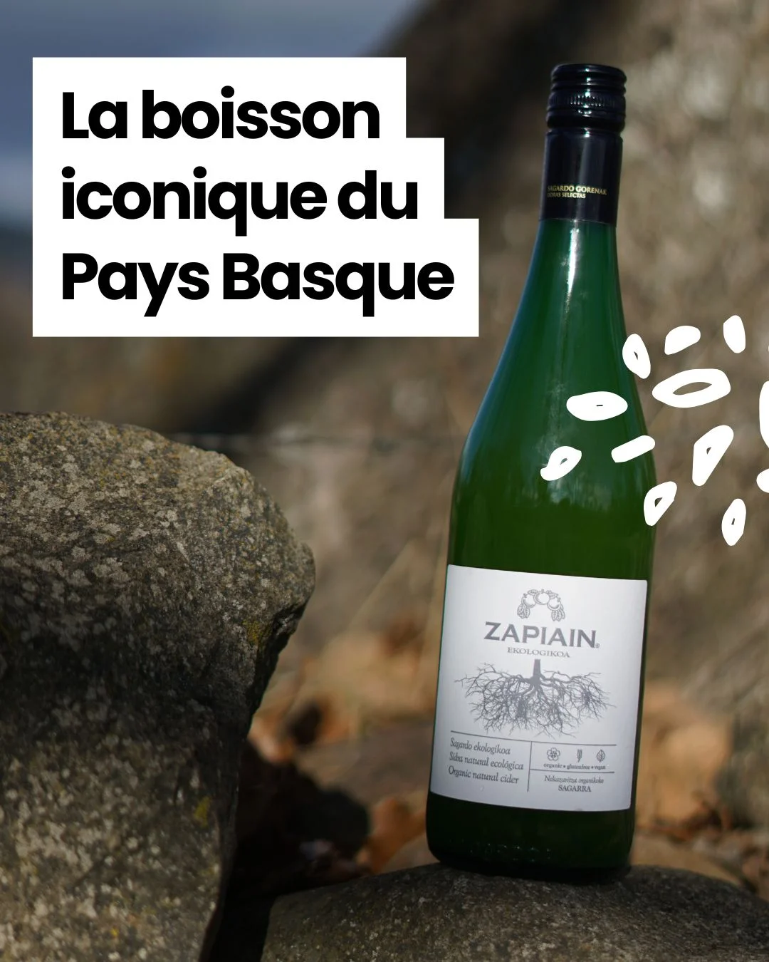 Bouteille de cidre bio Zapiain posée sur une pierre au Pays Basque