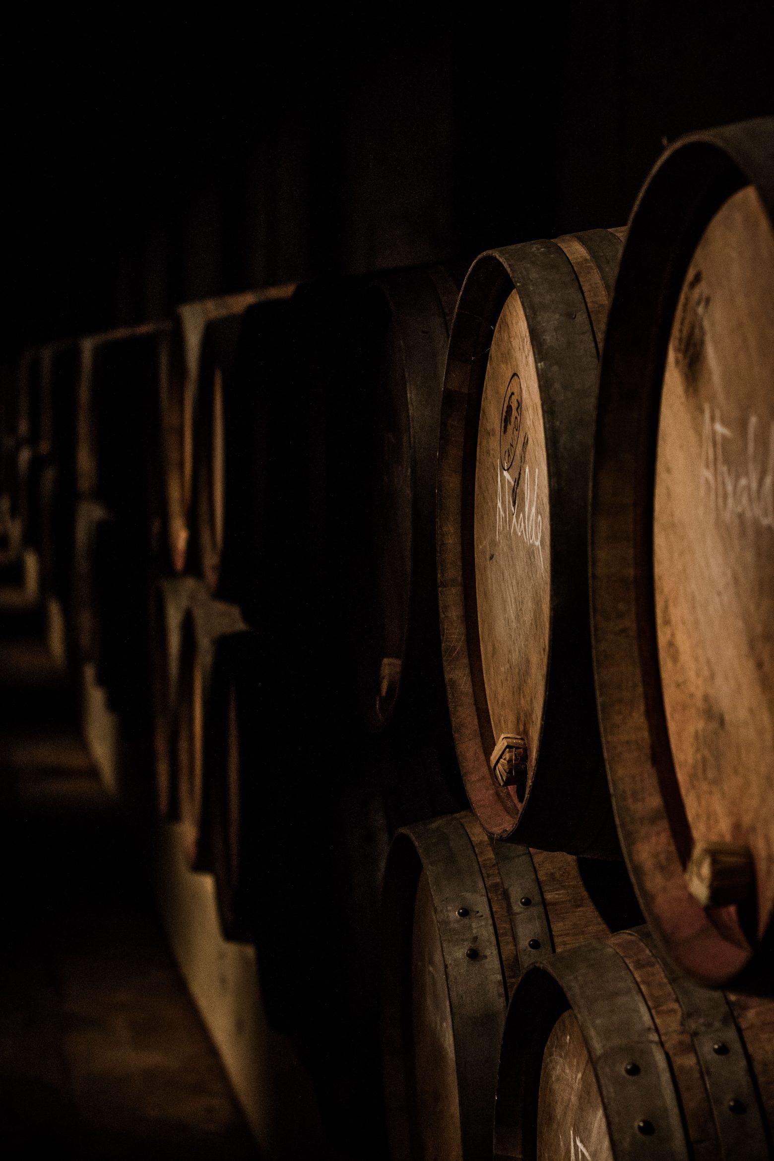Cave de vieillissement avec barriques en bois chez un producteur espagnol