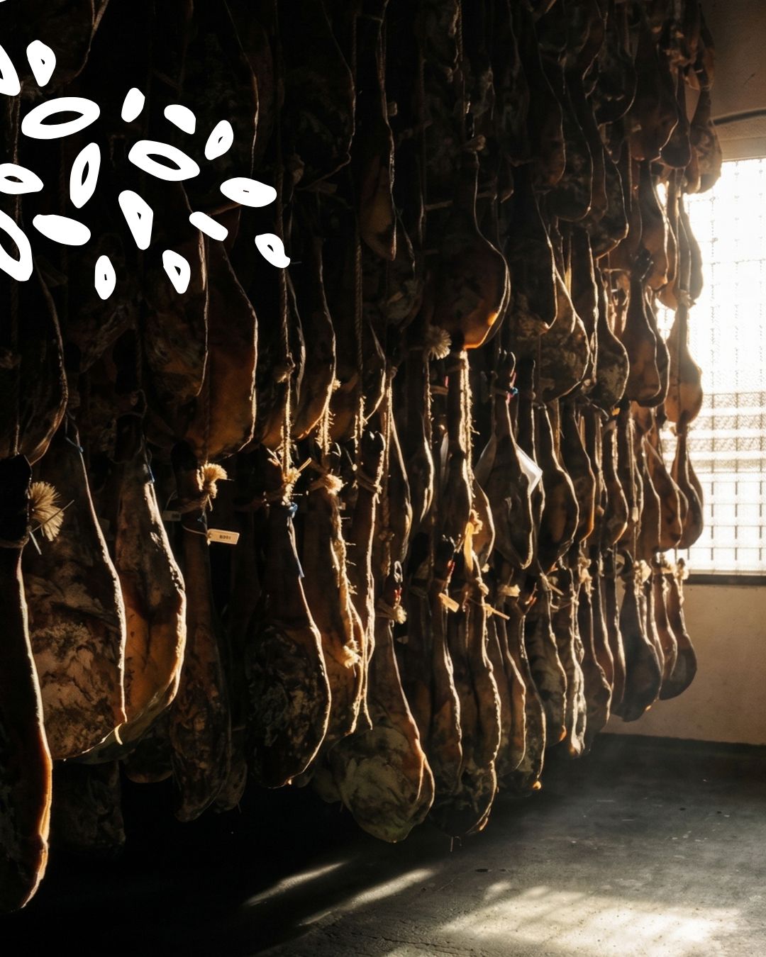 Jambons ibériques en cours d’affinage dans un séchoir traditionnel