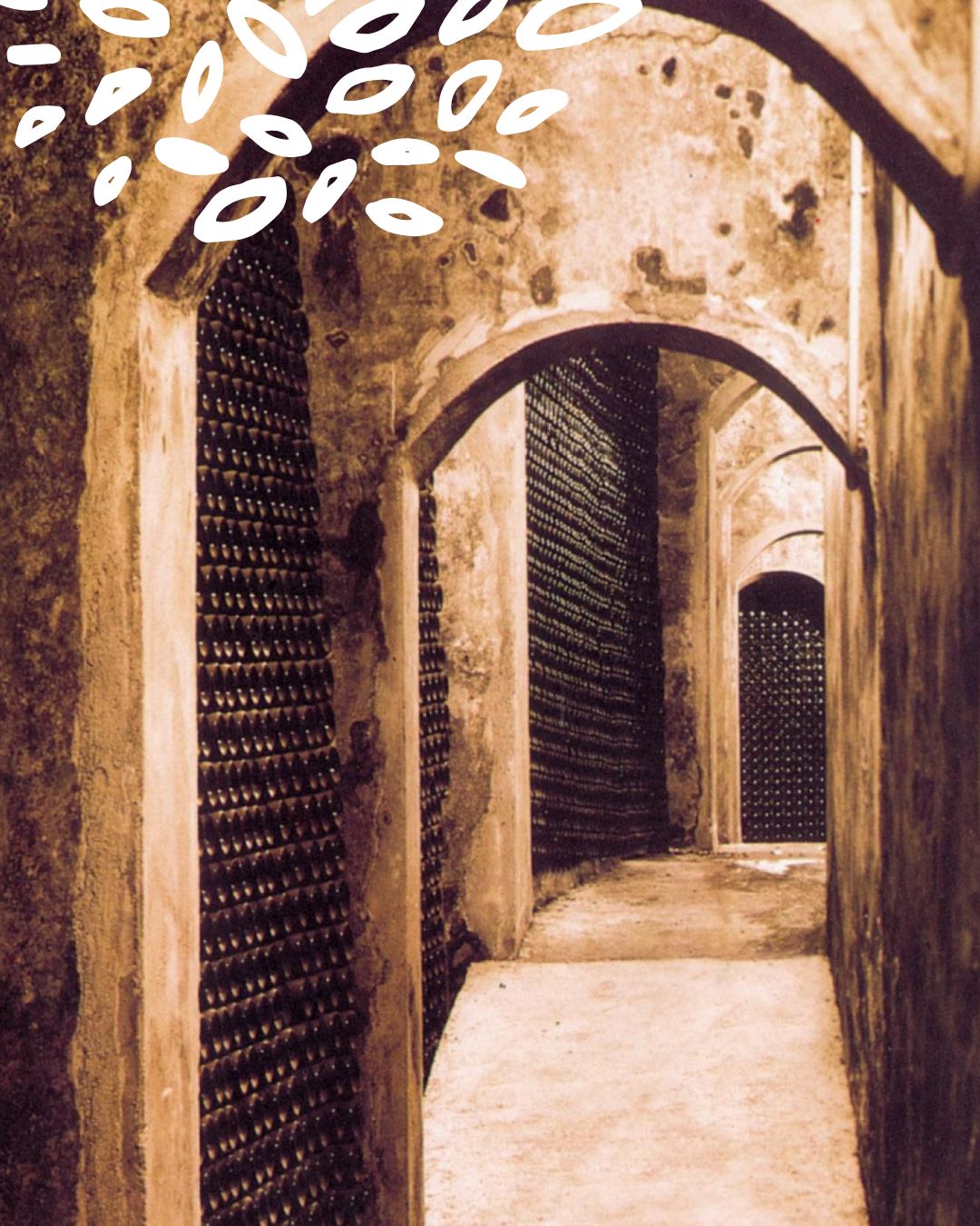 cave vin Cariñena bouteilles vieillissement Espagne