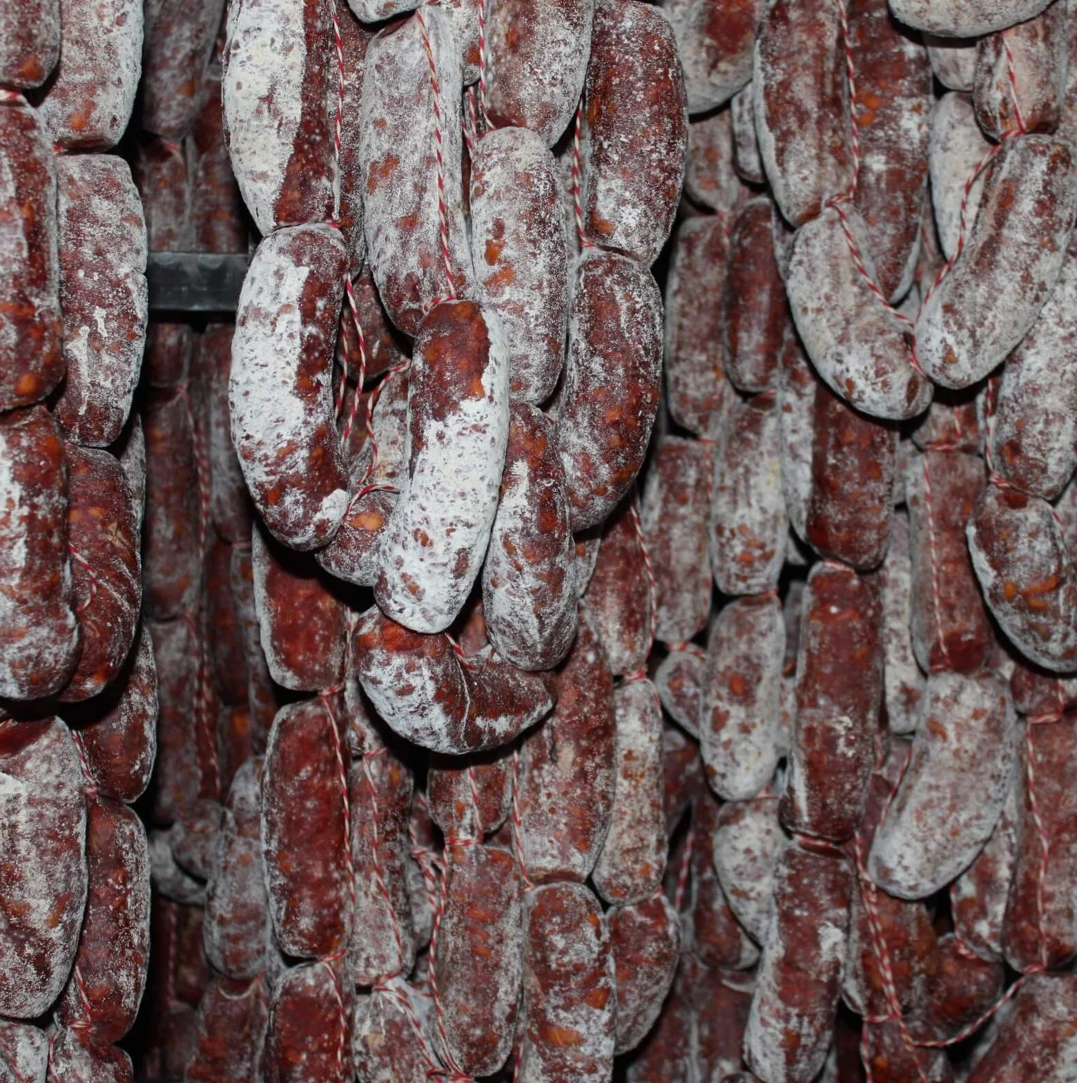 Morcónes ibériques suspendus en secadero naturel pendant l’affinage à La Alberca.