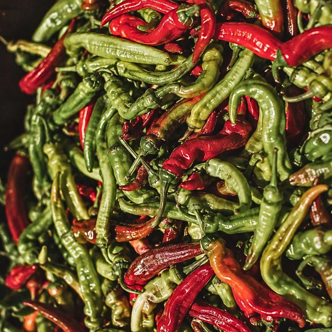 Gros plan sur des piments verts et rouges d'Ibarra fraîchement récoltés, illustrant leur forme fine et allongée.