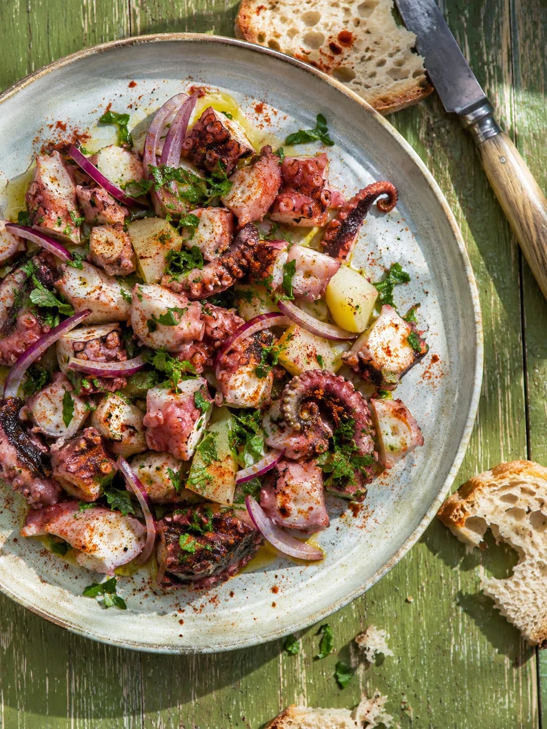Vue de dessus d'une salade de poulpe grillé et pomme de terre, avec oignon rouge, persillade et pimentón, sur une assiette en céramique artisanale