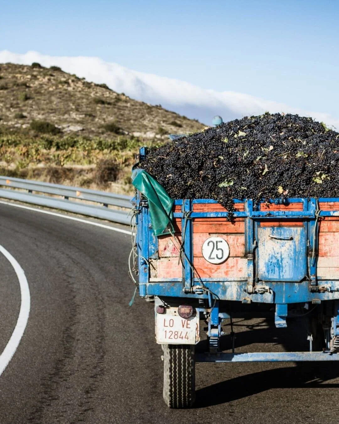Remorque agricole bleue et orange remplie de grappes de raisin noir fraîchement vendangées, sur une route de montagne